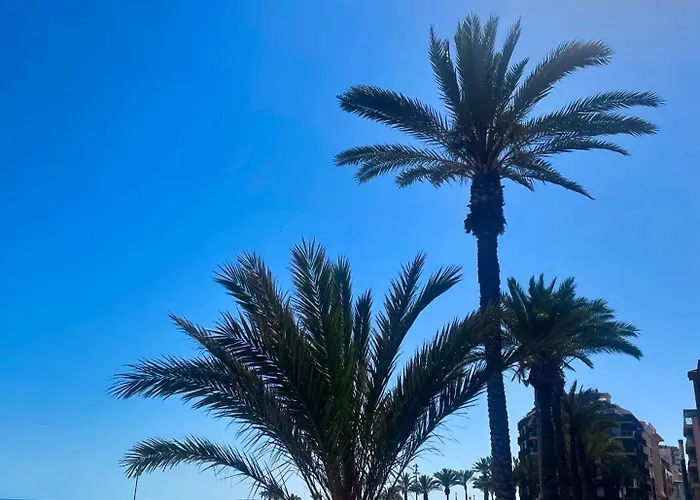 Sol&mar טורבייחה